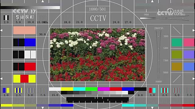 CCTV-17 农业农村频道