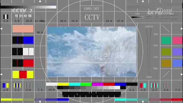 CCTV-7 国防军事频道