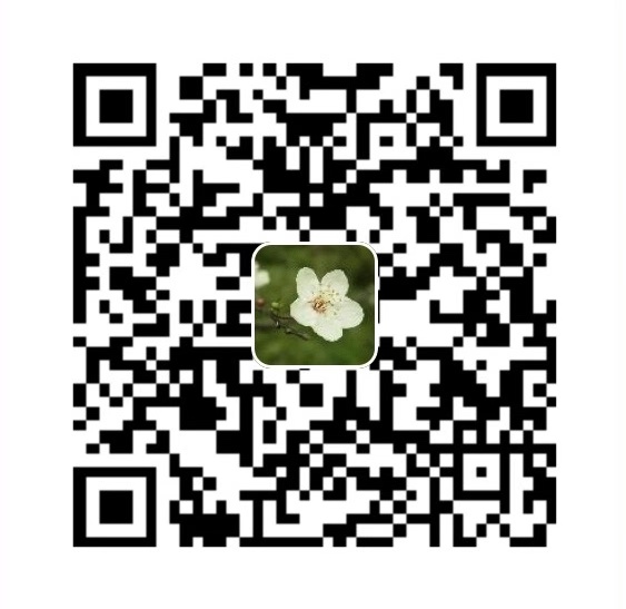 支付宝收款二维码