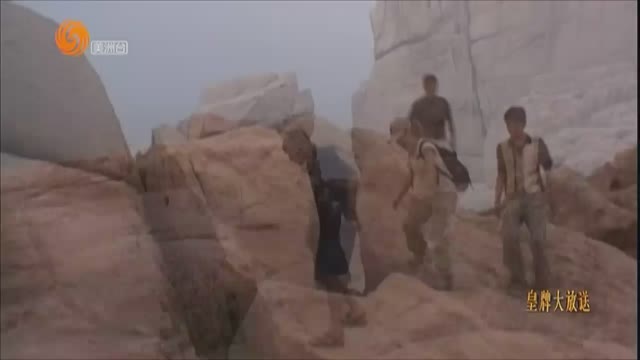 凤凰美洲